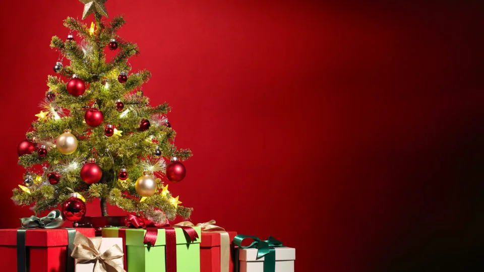 As primeiras árvores de Natal chegaram no Brasil por causa da realeza imperial. Foto: Pixabay.