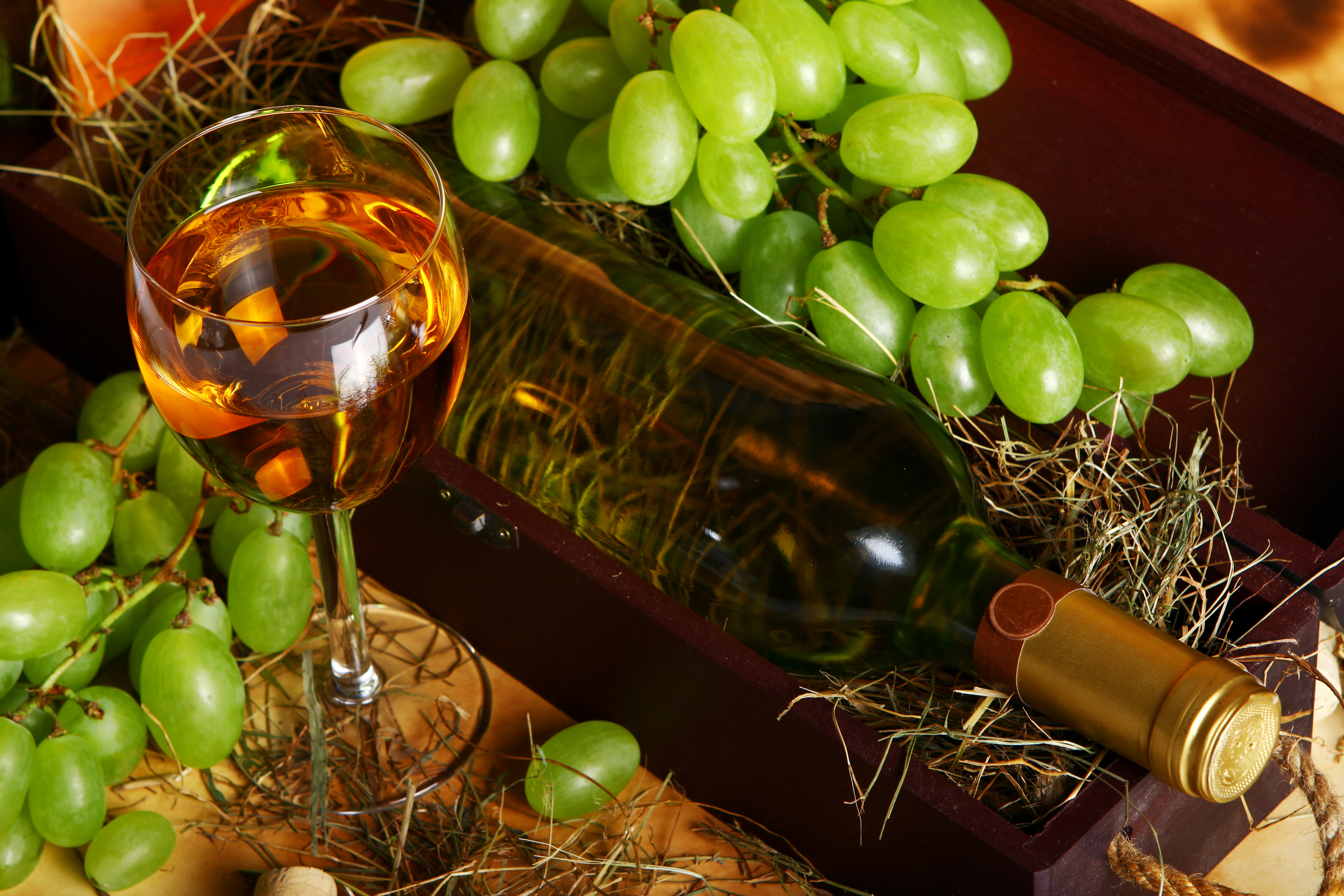 Confira guia completo sobre vinhos alemães com harmonizações de pratos do restaurante Frères. Clique e saiba mais.