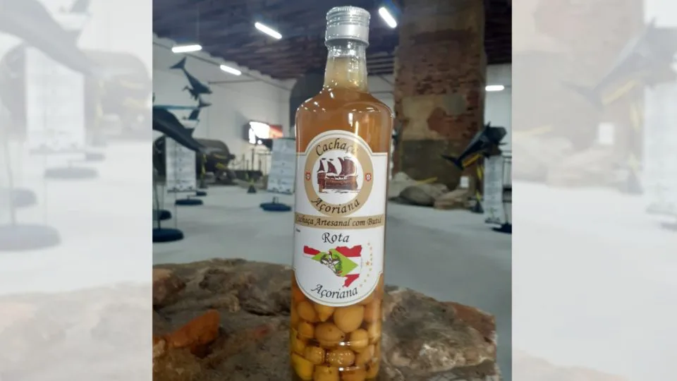A produção da cachaça de butiá começou em uma parceria com o Núcleo de Estudos Açorianos da Universidade Federal de Santa Catarina (UFSC).