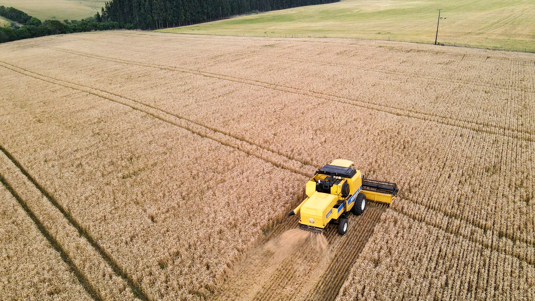 Paraná passou a comercializar mais produtos da agroindústria nos últimos 20 anos.