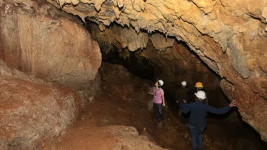 Fechada desde novembro de 2023 por conta das fortes chuvas, a Gruta dos Jesuítas, principal atração do Parque Estadual de Campinhos (PEC), foi reaberta para visitação na última quinta-feira (4).