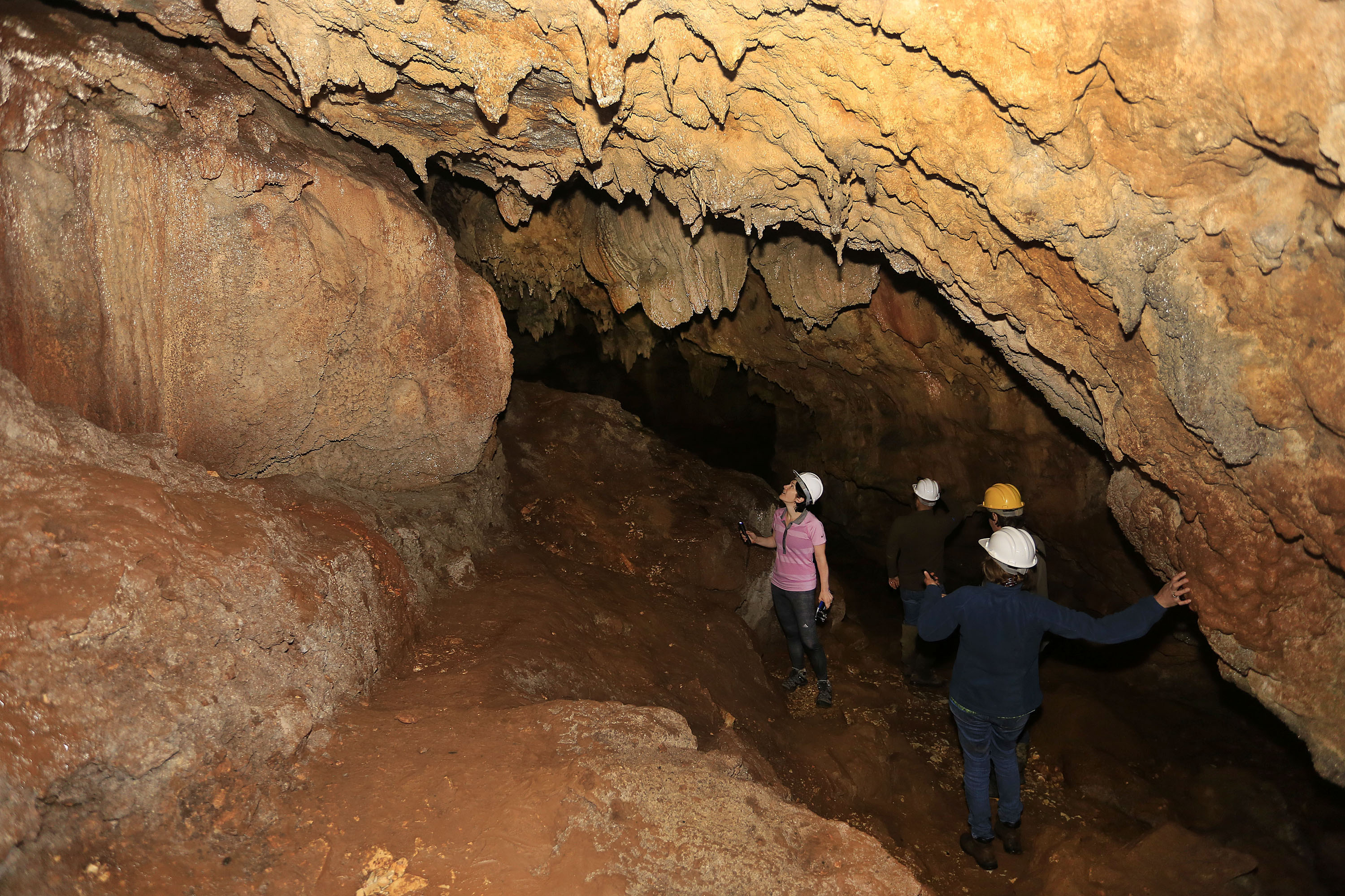 Fechada desde novembro de 2023 por conta das fortes chuvas, a Gruta dos Jesuítas, principal atração do Parque Estadual de Campinhos (PEC), foi reaberta para visitação na última quinta-feira (4).