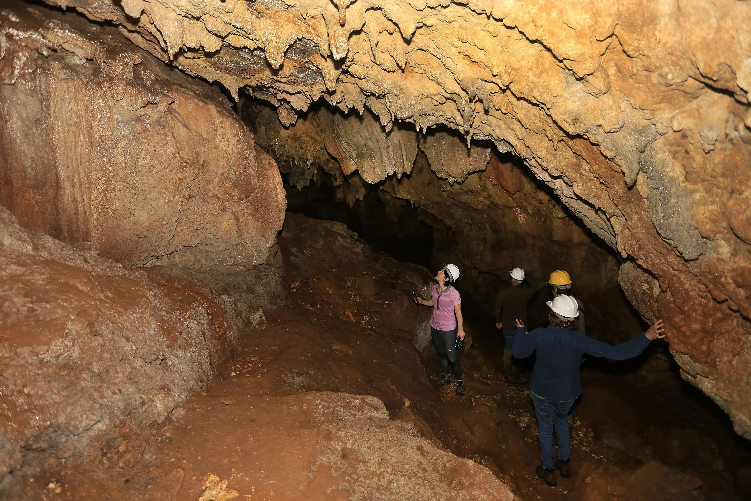 Fechada desde novembro de 2023 por conta das fortes chuvas, a Gruta dos Jesuítas, principal atração do Parque Estadual de Campinhos (PEC), foi reaberta para visitação na última quinta-feira (4).