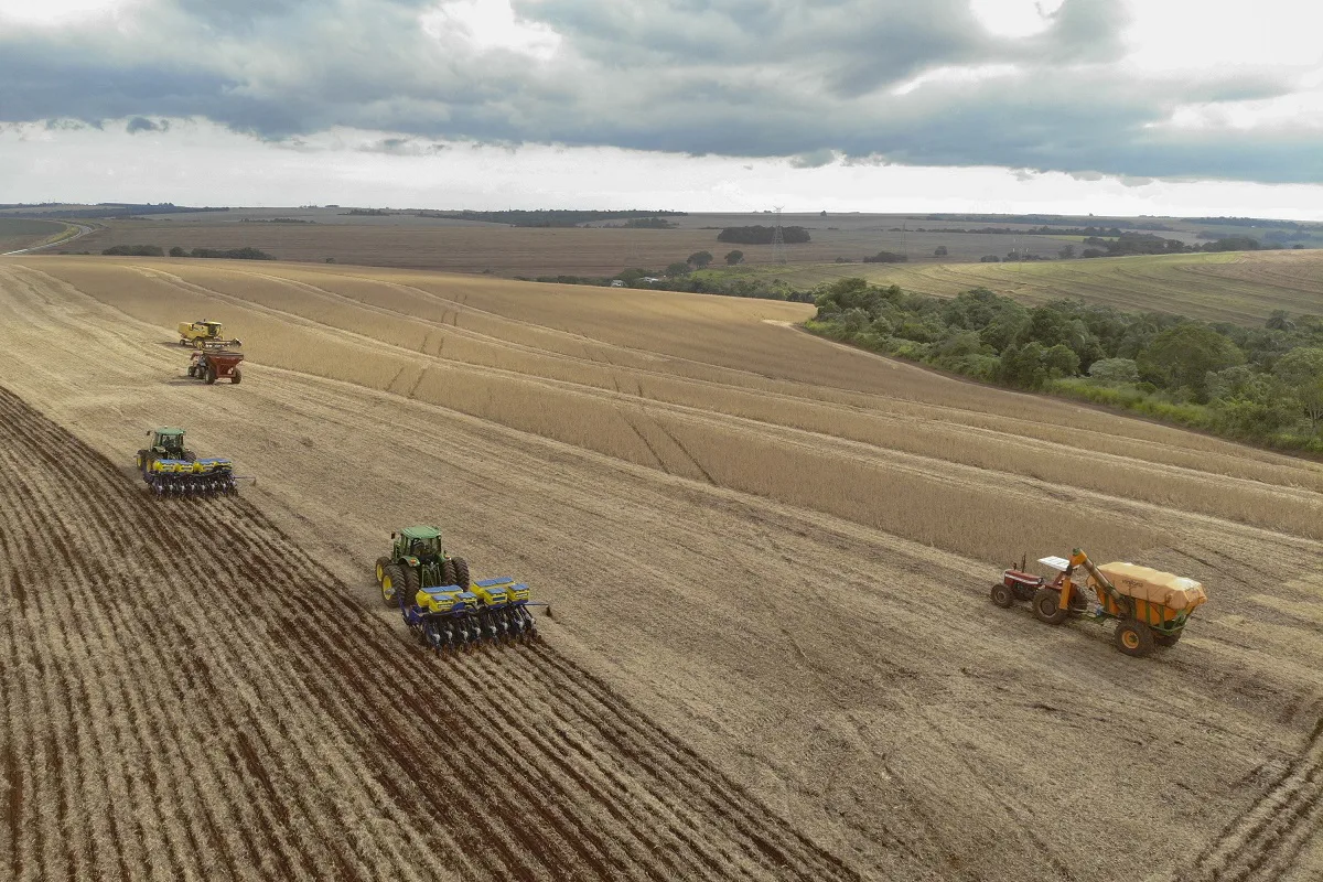 Perdas agrícolas podem comprometer bom desempenho da produção do Paraná em 2024.