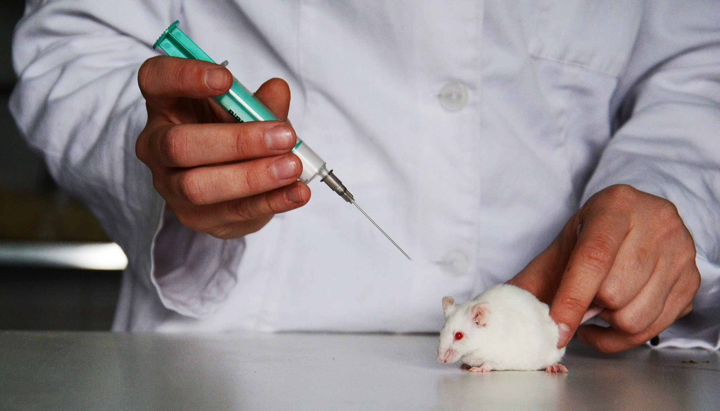 Pré-publicação descreve como virologistas chineses cultivaram em laboratório linhagens de coronavírus de pangolim até acharem uma 100% letal em roedores.