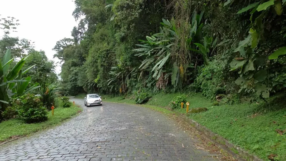 Antiga Rota dos Tropeiros, a Estrada da Graciosa atravessa o trecho mais preservado de Mata Atlântica do Brasil.