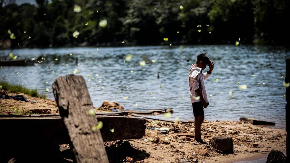 Dados do governo federal apontam que somente 45% dos indígenas brasileiros têm acesso a água potável.