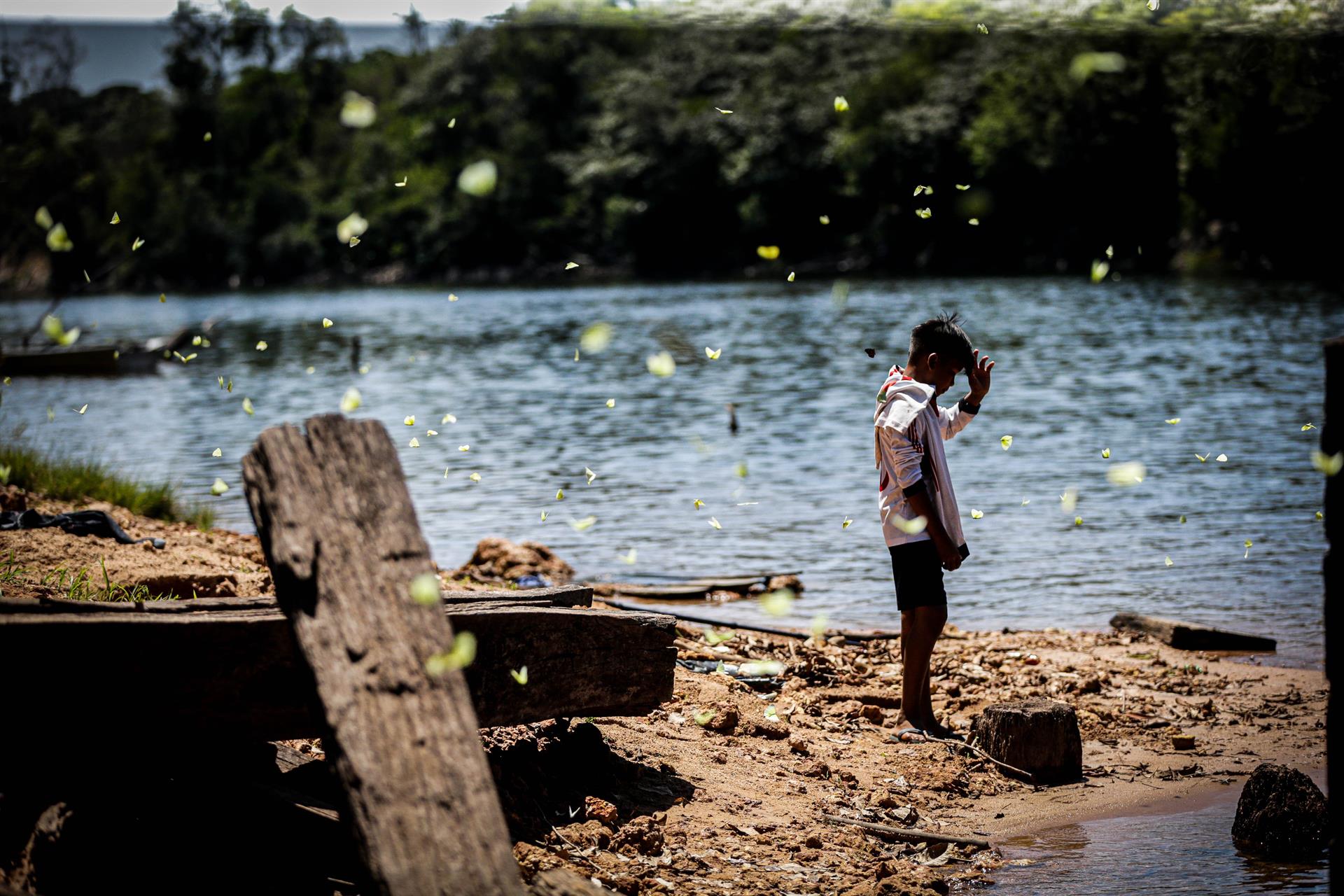 Dados do governo federal apontam que somente 45% dos indígenas brasileiros têm acesso à água potável
