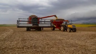 Maior perda consolidada nos campos do Paraná é com as lavouras de soja, segundo o Deral.