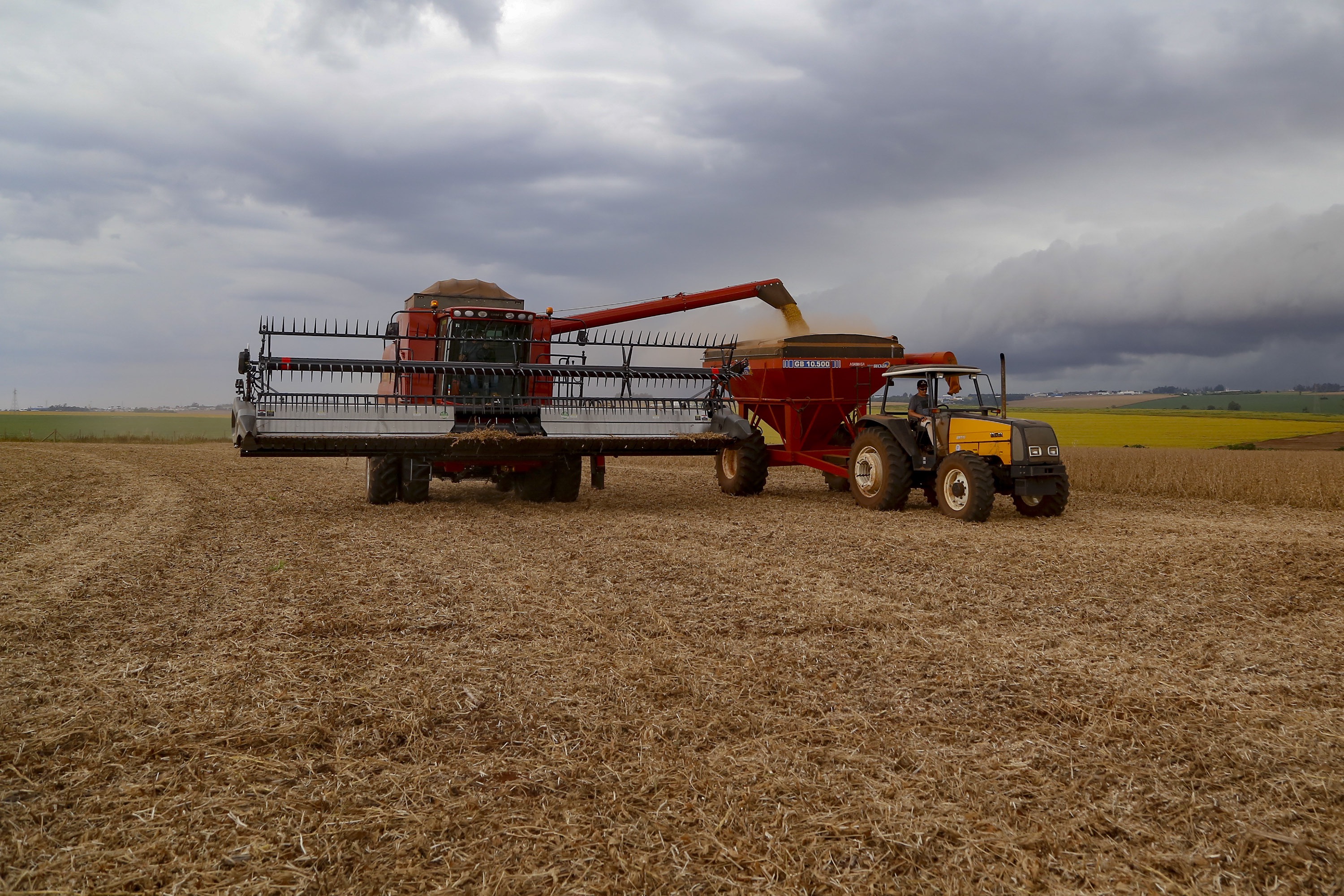 Maior perda consolidada nos campos do Paraná é com as lavouras de soja, segundo o Deral.
