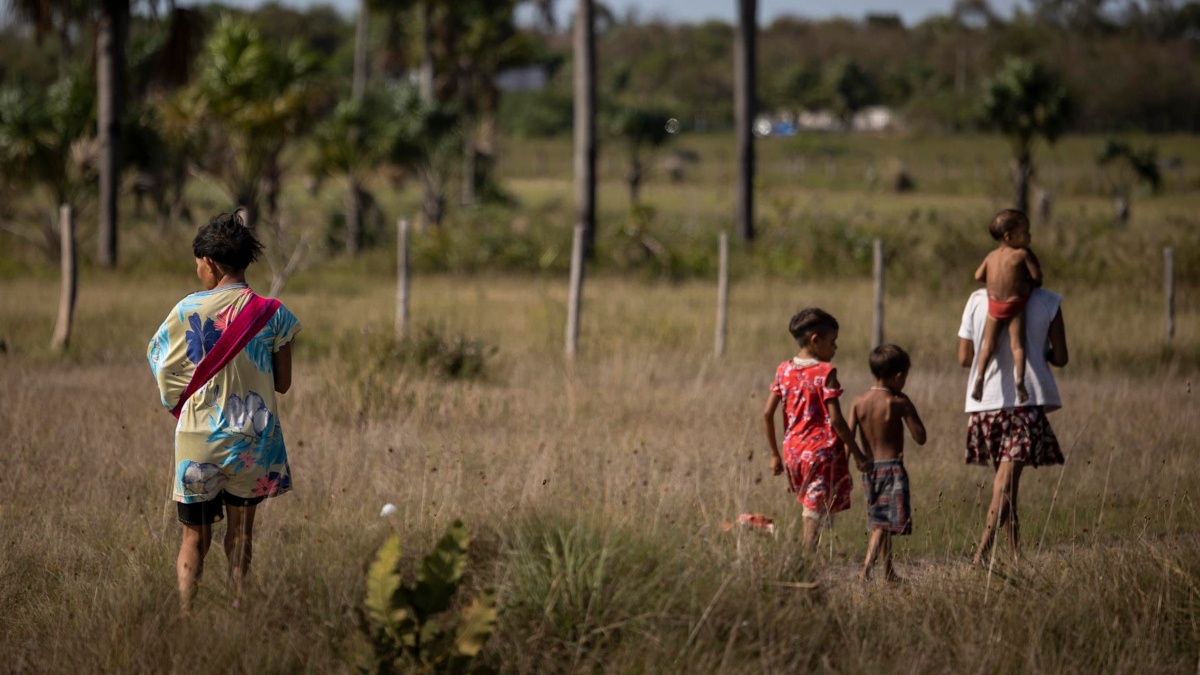 Medicamentos estavam vencidos desde 2021 e seriam destinados à Terra Indígena Yanomami, segundo a Polícia Civil.