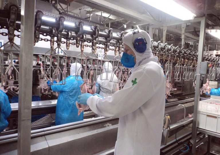 Segmento agro diz que regulamentação vai acelerar processos, garantir sanidade e segurança.