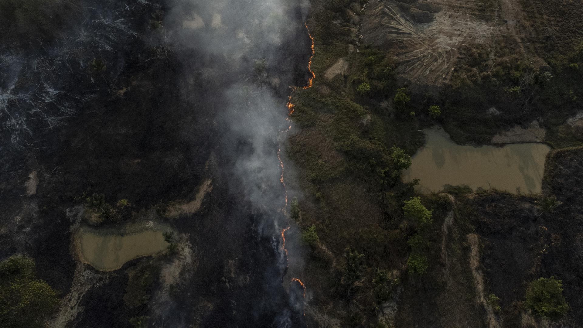 Queimadas na Amazônia voltam a bater recorde em fevereiro.