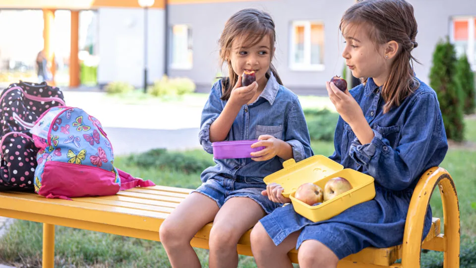 Lanche Saudavel para Criancas Tainá Alimentos