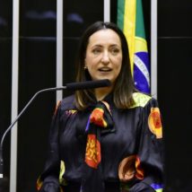 Rosângela Moro liderou inciativa de pedido contra Lulinha.