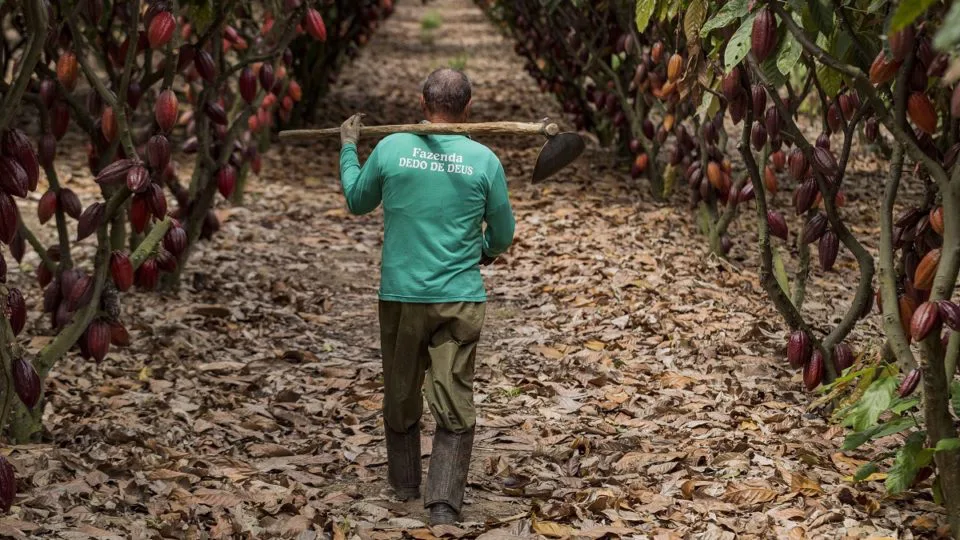 Fazenda Dedo de Deus