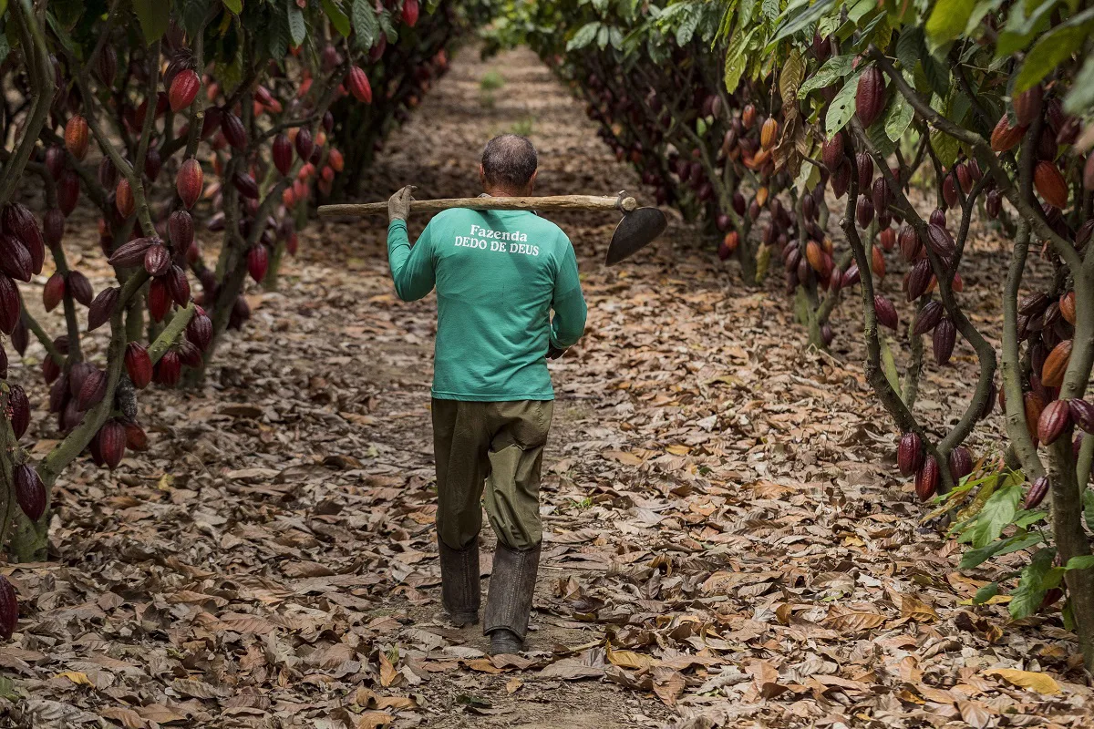Fazenda Dedo de Deus