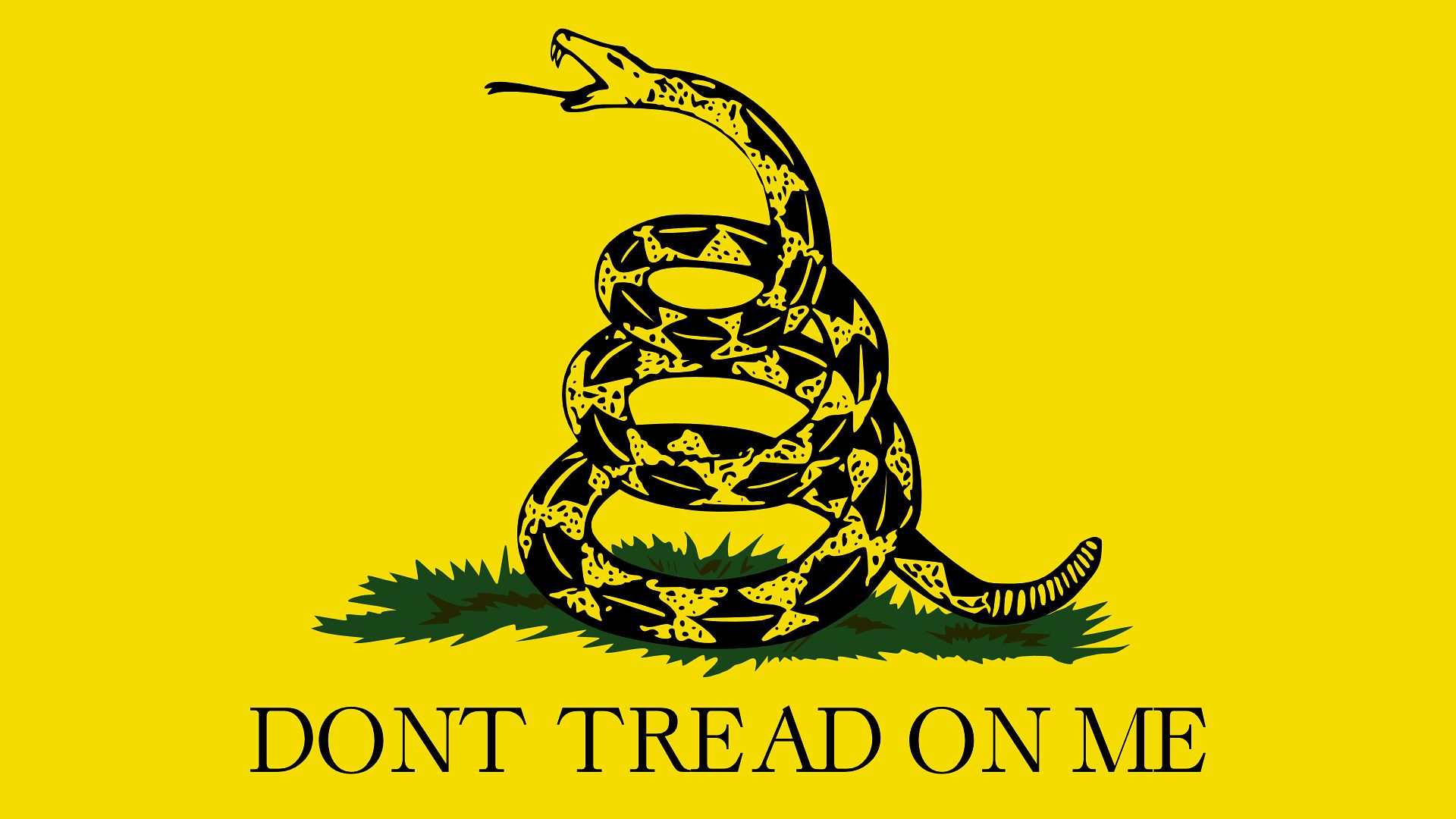 A bandeira de Gadsden é usada por grupos que valorizam a liberdade individual e resistem à interferência governamental excessiva. A frase "Don't Tread On Me" é uma expressão que significa "Não me pisoteie" ou, mais precisamente, "Não me oprima"