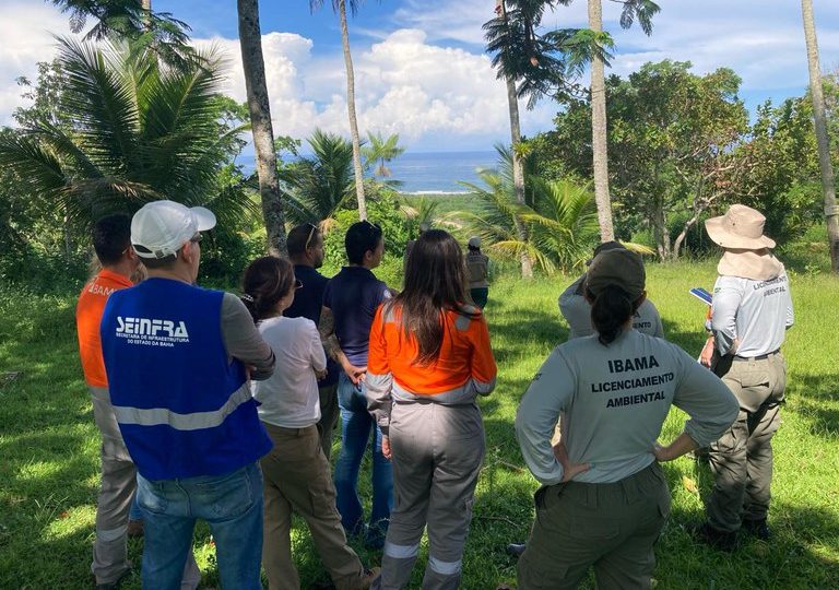 Paralisação do Ibama e do ICMBio afeta emissão de licenças ambientais