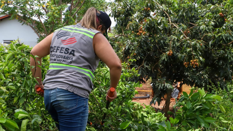 Quando esquerda dá golpe vira “revolução” Quando esquerda dá golpe vira “revolução”
