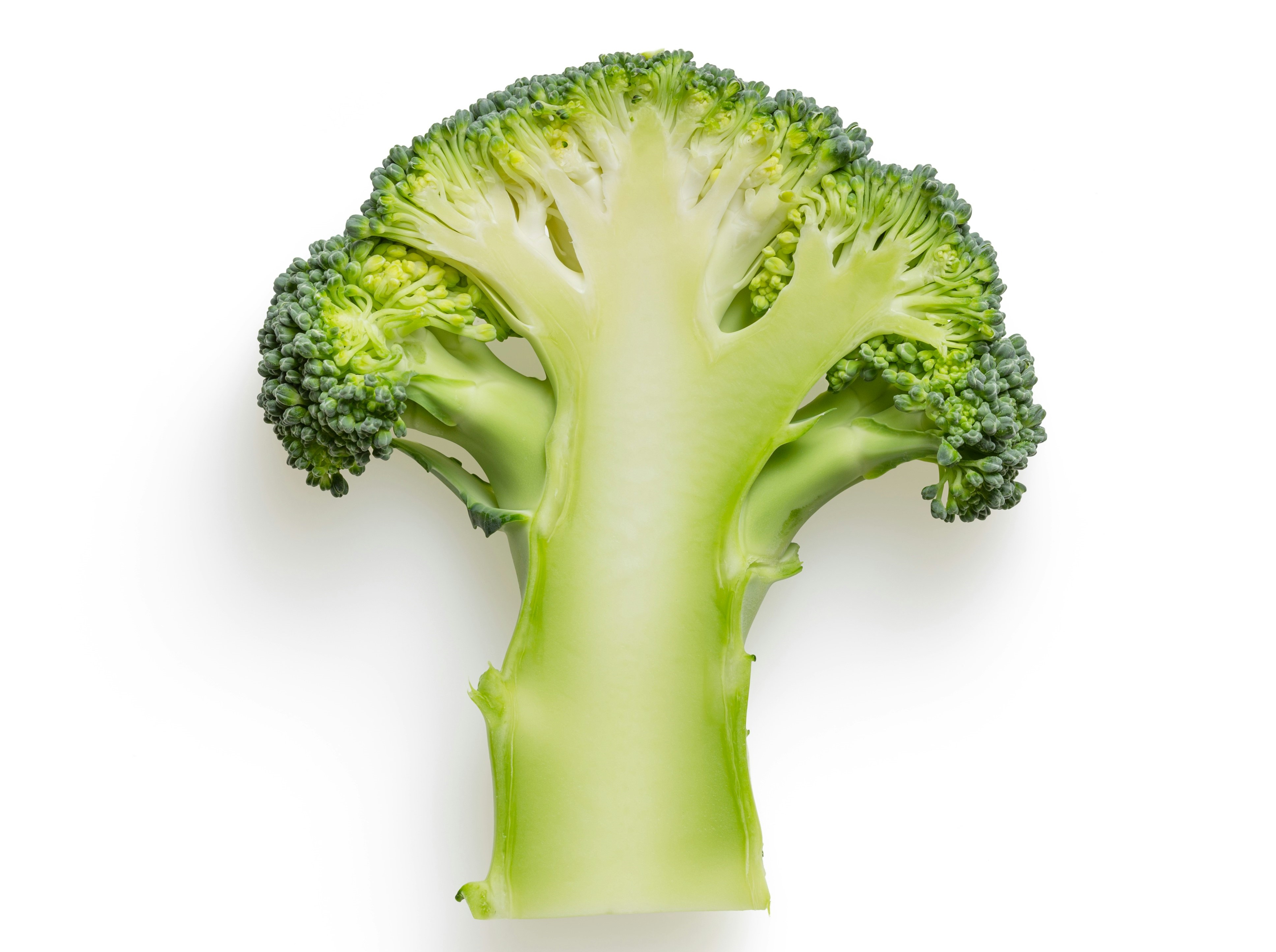 Em &#8220;Como Mundo o Funciona&#8221;, Vaclav Smil analisa o que as tecnologias modernas são ou não capazes de fazer em prol da sobrevivência da humanidade.