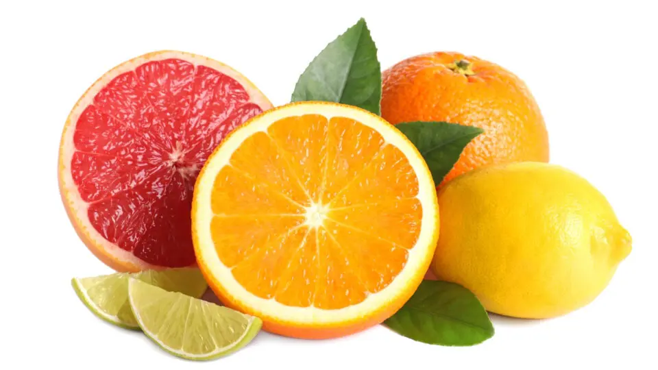 Frutas-citricas-laranja-limao-grapefruit-2x1-1909x954