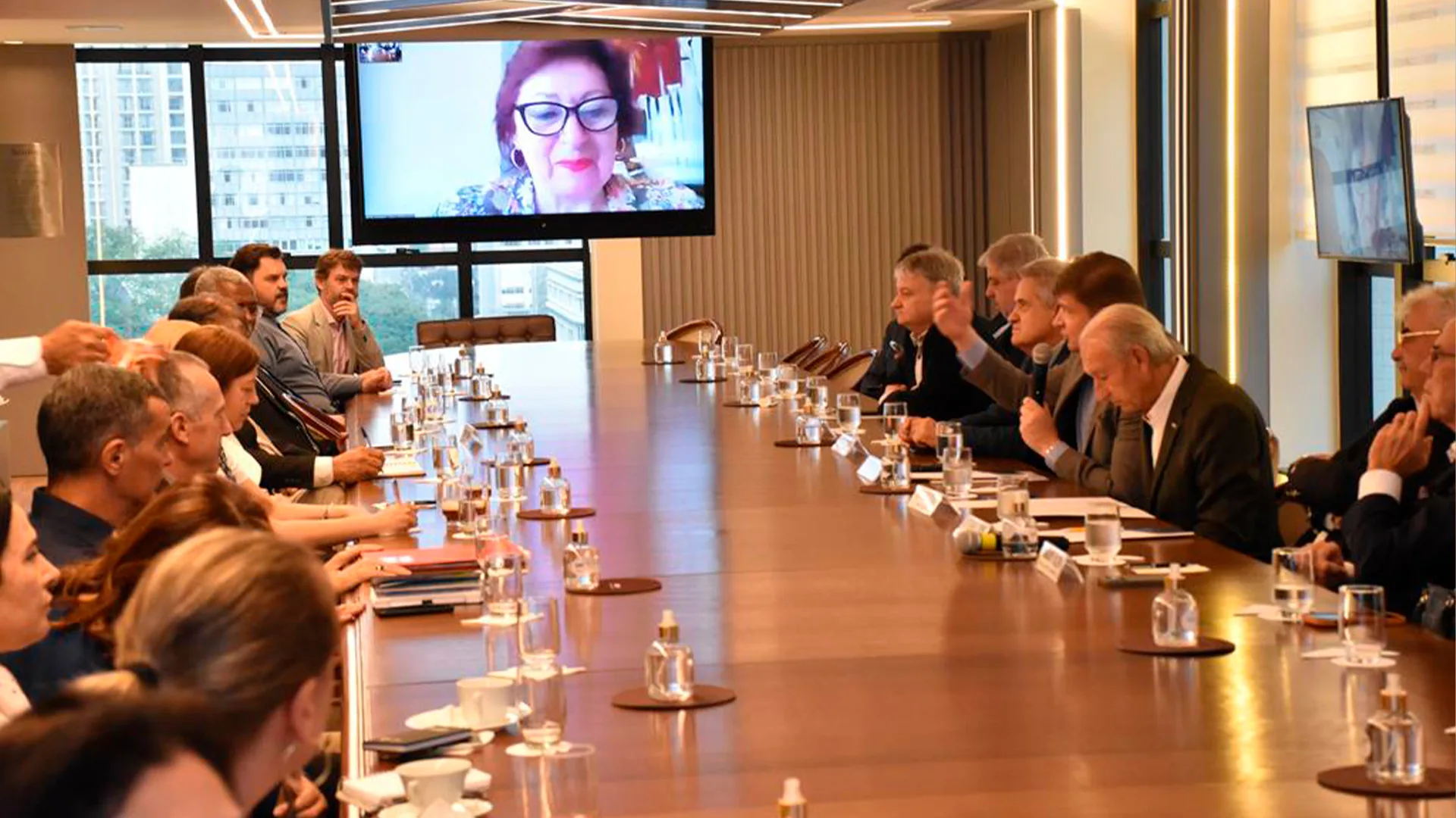 Rita de Cássia Acea participou da reunião de forma remota