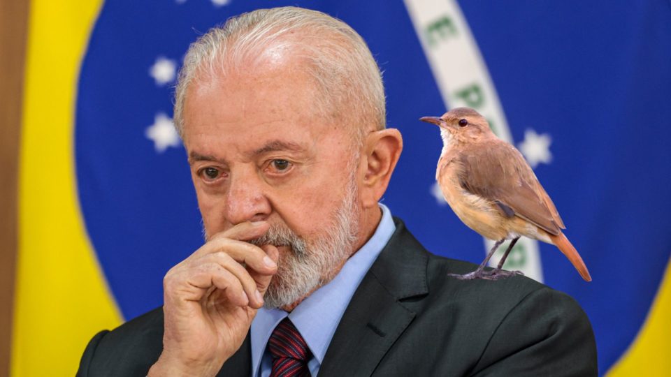 LULA FASCISTAS JOÃO-DE-BARRO