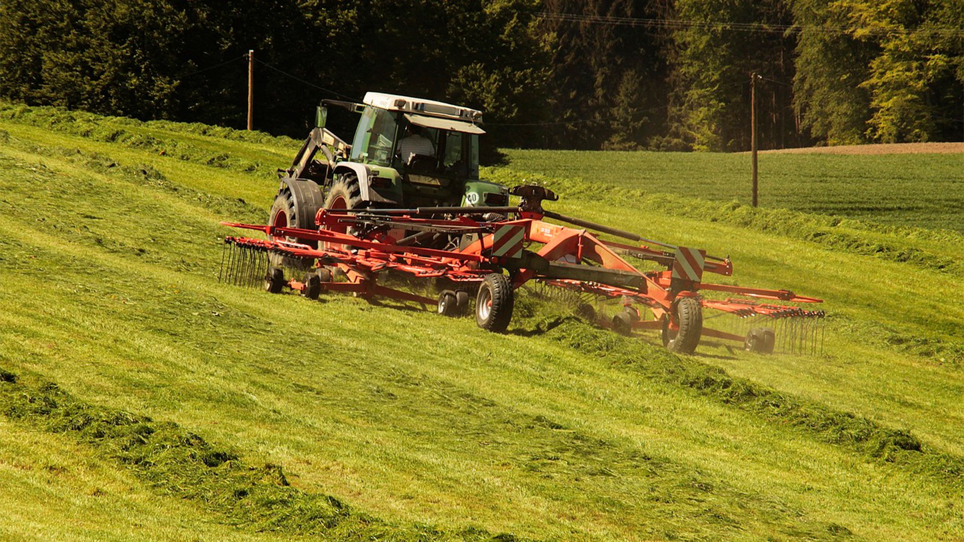 Aval de terceiros, bens como máquinas e equipamentos, imóveis, fundos de aval e cartas de garantia de SGCs são opções que facilitam o acesso ao crédito quando é preciso oferecer garantias