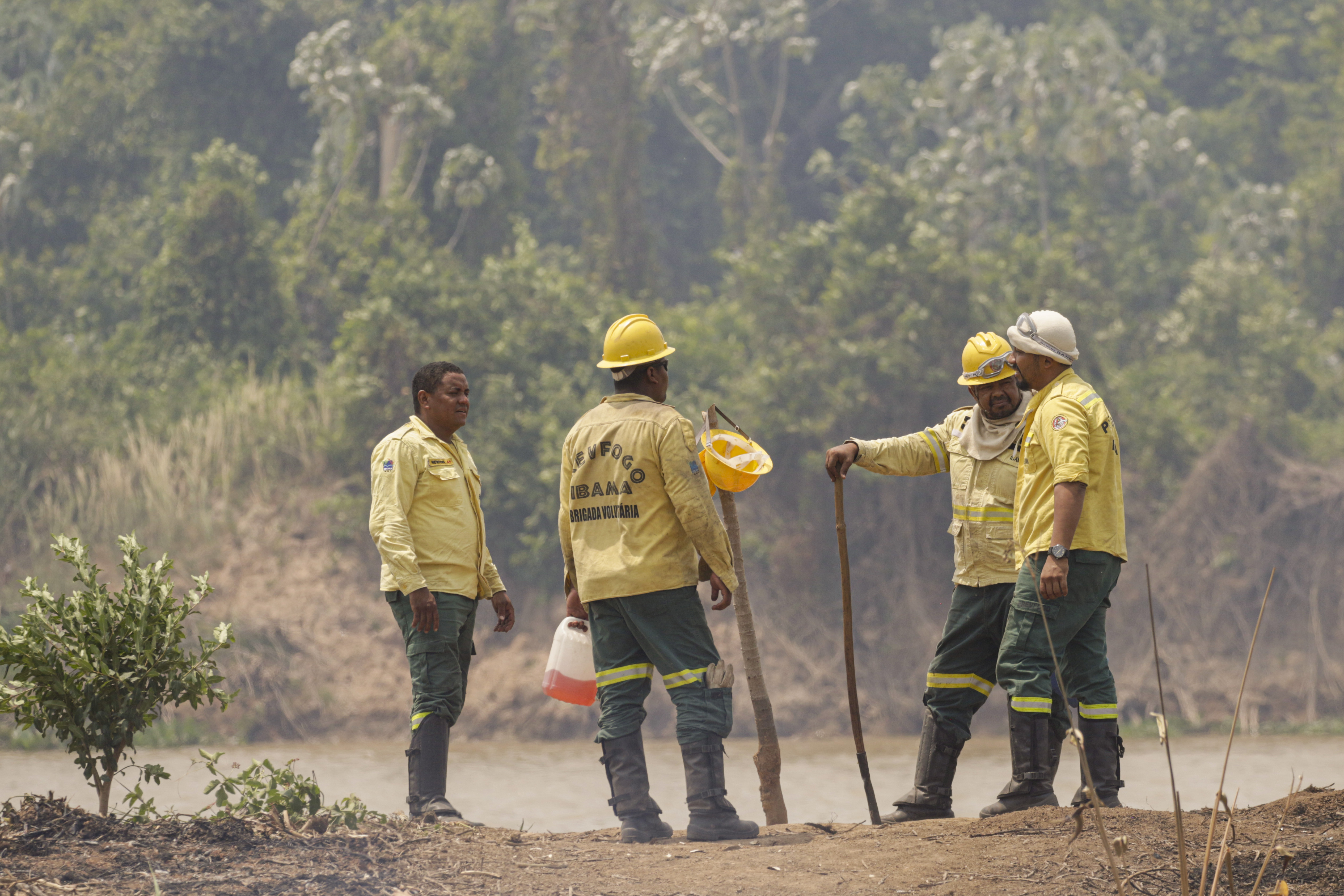 licenciamento ambiental é afetado por paralisação de servidores