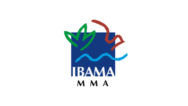 Notícias sobre o Ibama