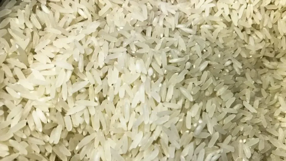 Arroz importado