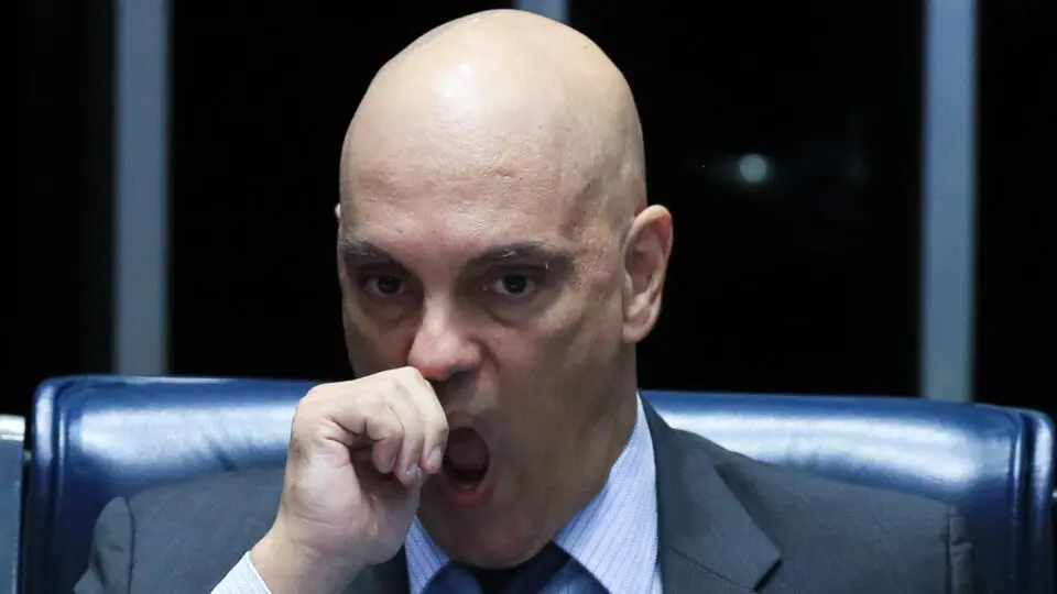 XANDÃO ELON MUSK