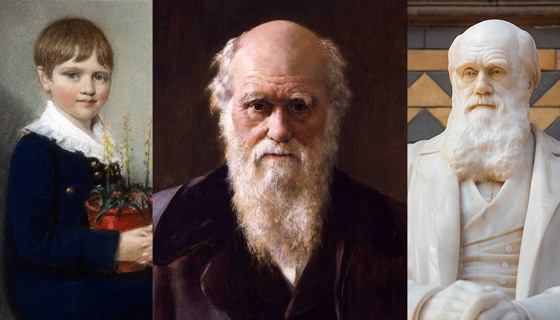 Charles Darwin, naturalista que propôs a teoria da evolução em 1858, retratado em obras de arte aos sete anos (esquerda), um ano antes da morte (centro) e na estátua de destaque do Museu de História Natural em Londres (direita).