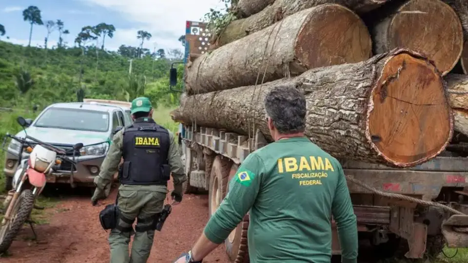 Servidores do Ibama