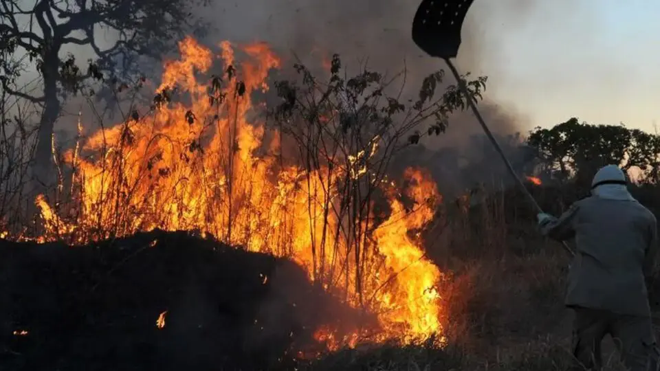 queimadas Amazônia Pantanal governo Lula