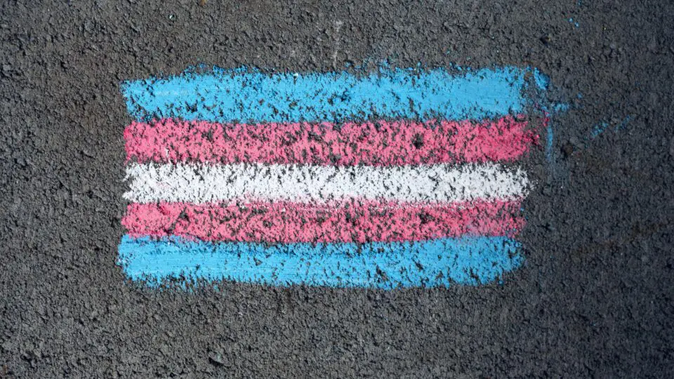 Bandeira do movimento trans