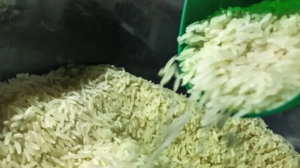 Arroz