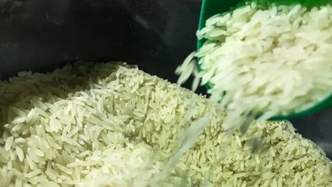 Fraude do arroz expõe real motivo do governo para não aportar os R$ 7 bi na produção do RS