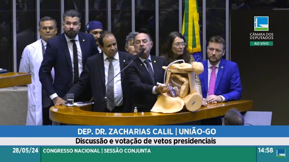 Deputados querem aprovar PL do aborto