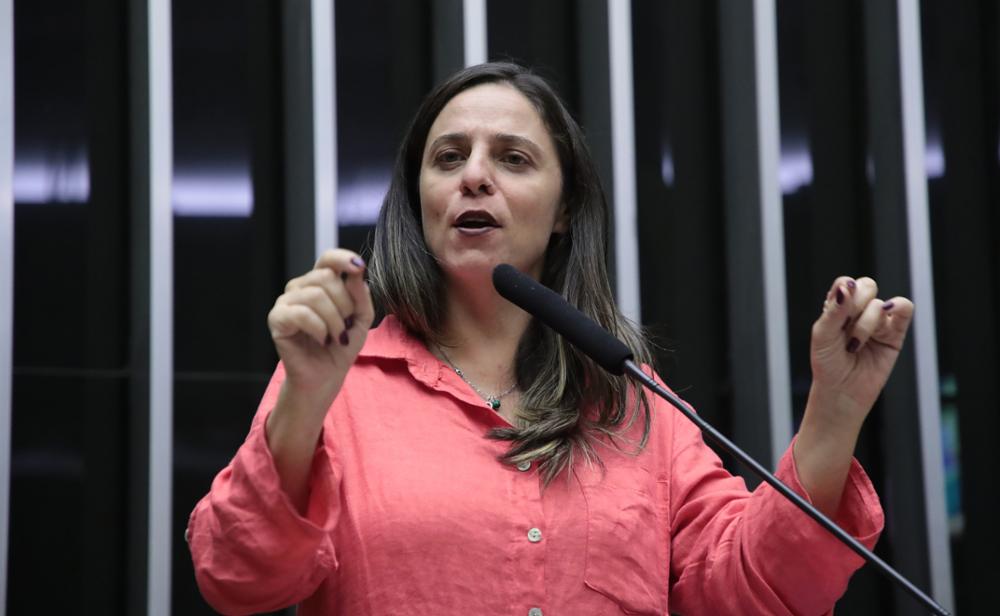 O Conselho de Ética encerrou a ação contra a deputada Fernanda Melchionna (Psol-RS) por 14 votos a 4.