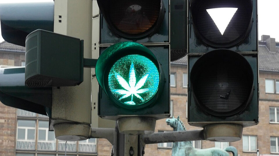 Trânsito e uso de maconha