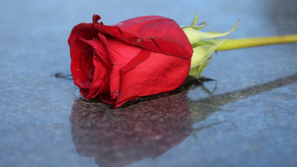 Permitir "uma boa morte" começa com a retomada da atenção. Devemos primeiro atender aos moribundos em nossas próprias comunidades. Cuidar dos moribundos, por sua vez, anima a reflexão sobre a nossa própria morte.