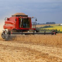 Selo para a soja baixo carbono promete benefícios, que por enquanto não são percebidos no campo. Selo para a soja baixo carbono promete benefícios, que por enquanto não são percebidos no campo.