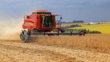 Selo para a soja baixo carbono promete benefícios, que por enquanto não são percebidos no campo.