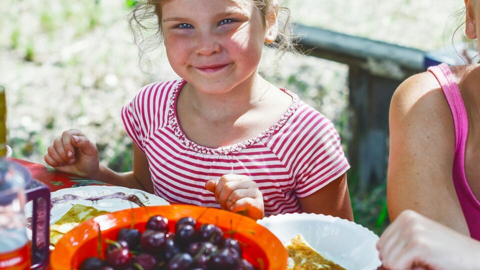 scola pode ajudar a melhorar a qualidade da alimentação das crianças.