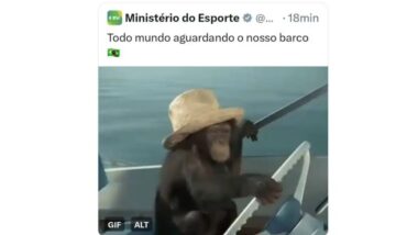 Ministério do Esporte faz post racista com macaco em alusão à delegação brasileira nas Olímpiadas