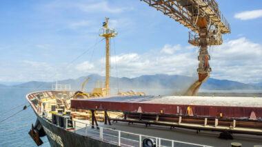 Soja é responsável por 25% das exportações feitas a partir de portos do Paraná.