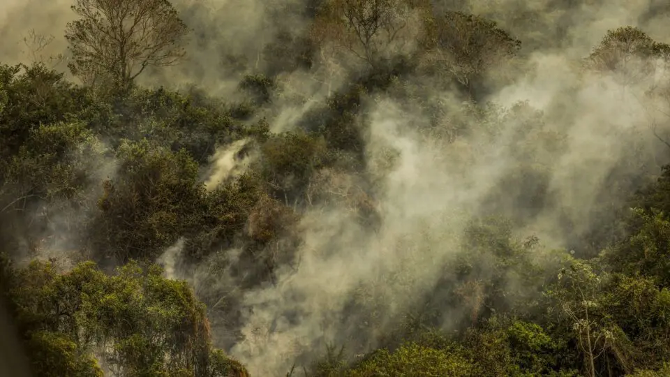 Queimadas formam corredor de fumaça