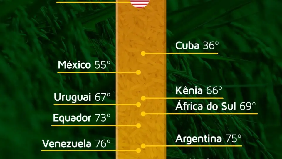 Quadro comparativo do preço de arroz em vários países